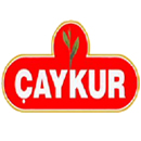 ÇAYKUR